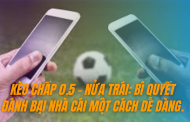 Kèo chấp 0.5 - nửa trái: Bí quyết đánh bại nhà cái một cách dễ dàng.